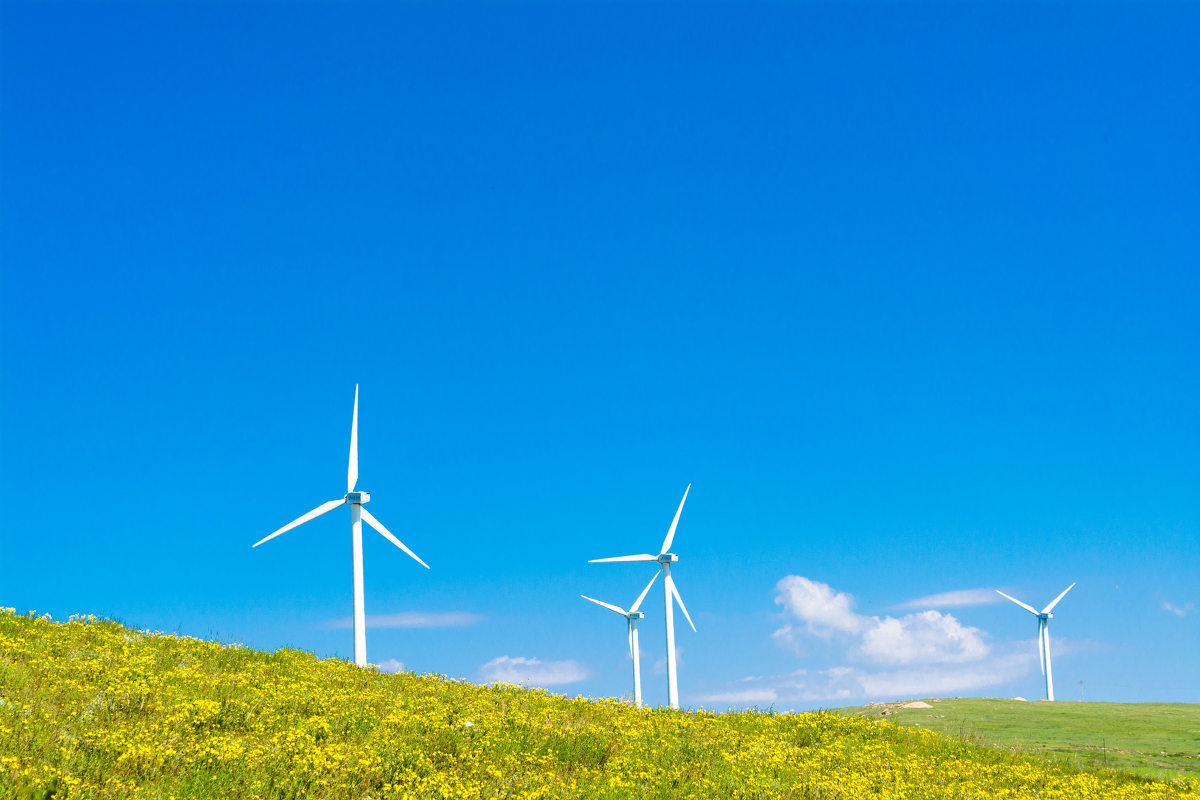 史作廷：努力推動實現(xiàn)碳達峰碳中和目標